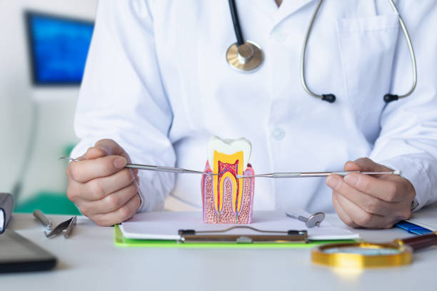 Best Emergency Treatment for Toothache in Mlstadt, IL